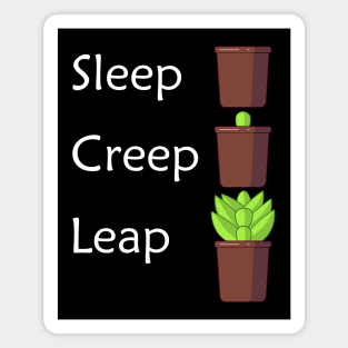 Sleep Creep Leap Plant Perennial Lover Magnet